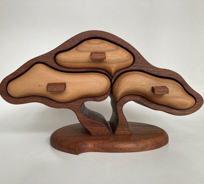 Picture of Bandsaw Box-Bonsai Tree