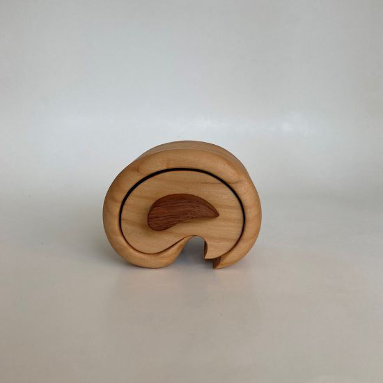 Picture of Bandsaw Box-Minia-2